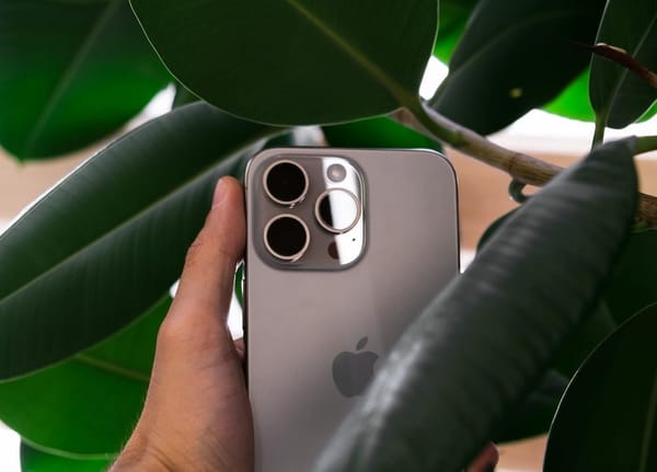 Un iPhone est tenu par une main, entouré de grandes feuilles vertes, mettant en valeur son design épuré.